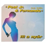 Peat Jr. & Fernando Feat Csilla - Itt a nyar (Pumpin Club Mix  Remastered)
