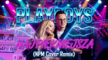 Playboys - Najpiękniejsza (NPM Cover Remix)