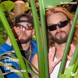 DJ DRECKISCH and Fronsi and Lobi and Galactic Harmony - Dschungelbuch