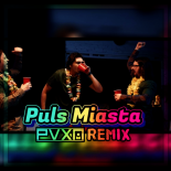 Polo Vibes - Puls Miasta (PVXN Remix)
