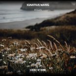 Ignatius Wang - Ikigai (Instrumental Mix)