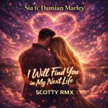 Sia ft. Damian Marley - I Will Find You in My Next Life (SCOTTY RMX)