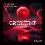Brad Smith - Feel The Vibe (Original Mix)