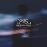 Colyn & Marten Lou - Need You (Extended)