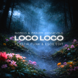 Gordo & Reinier Zonneveld - Loco Loco (Plastik Funk & Esox Edit)