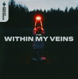 V3R - Within My Veins