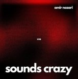 Amir Nazari - Sounds Crazy