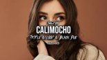 Gawryle - Calimocho (Tr!Fle & LOOP & Black Due EXTENDED REMIX)