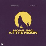 Pulsedriver & Tim Savey - Howling At The Moon
