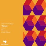 Tobi Amuchastegui - Voices (Chris Doppler Remix)