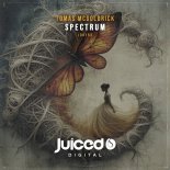 Tomas Mcgoldrick - Spectrum (Extended Mix)