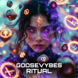 GOOSEVYBES - Ritual