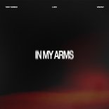 Toby Romeo, LOEK & VisionV - In My Arms (Original Mix)