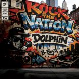 Dolphin - Light It Up
