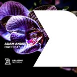 Adam Anderson - Orchis13 (Extended Mix)