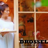 Drossel - Szkoda Nocy Dnia