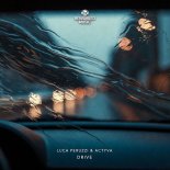 Luca Peruzzi, ACTYVA - Drive (Extended Mix)