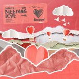 Braaten & JANU - Bleeding Love