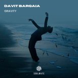 Davit Barqaia - Gravity