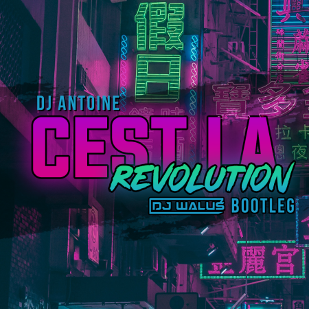 DJ Antoine - Cest La Revolution (DJ WALUŚ  BOOTLEG) 2019