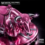 Riaz Dhanani - Handle It (Original Mix)