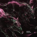 Anteac - Disrepair