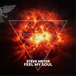Steve Meyer - Feel My Soul