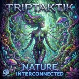 Triptaktik - Extraerrestrial Visitations