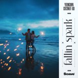 Youngmin & Coconut Kid - Fallin Spark (Original Mix)