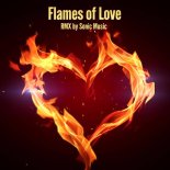 Sonic Music - Flames of Love (House Rmx)