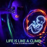DJ Vital & DJ Bruno Vonder - Life Is Like a Climb