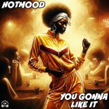 Hotmood - You Gonna Like It (Extended Mix)