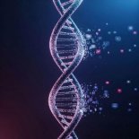 Mailov - DNA