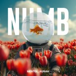 Mentol & Aurah - Numb