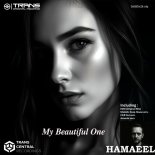 Hamaeel - My Beautiful One (Chill Out vers.)