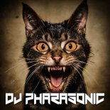 DJ Pharasonic - Cat Scratch Fever
