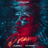 Nugget & Malignance - Dreams