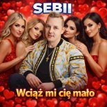 Sebii - Wciąż mi cię mało (Live Band)
