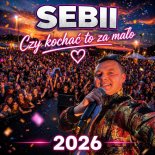 Sebii - Czy kochać to za mało (Live Band)