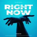 DJ BliiND - Right Now (Na Na Na) (Techno Version)
