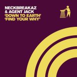 Neckbreakaz & Agent Jack - Down To Earth (Extended Mix)