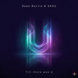 Sean Norvis and Sasu - Till there was U