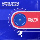 Nedir Nadir & Trans-Am - Don't U Feel It (Original Mix)
