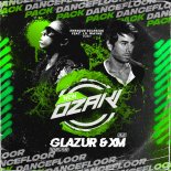 Enrique Iglesias feat. Lil Wayne - Push (Glazur & XM Extended Remix)