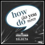 Die Suedsteirer - How Do You Do (DJ Selecta Power Remix)