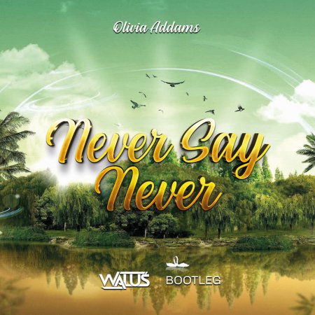 Olivia Addams - Never Say Never (WALUŚ Bootleg) 2022