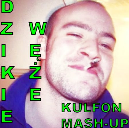 Sto % Bawełny x DBL - Dzikie Węże x Come On DJ (Kulfon Mash-UP)
