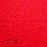 Palm Monkey, The Palm Tree Boy, Boix, Breakloop & VANDR - FIRE