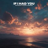 NE DALEN, SMRQND & PACANI - If I Had You