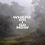 Monkeyneck - Where Do I Go Now (Extended Mix)